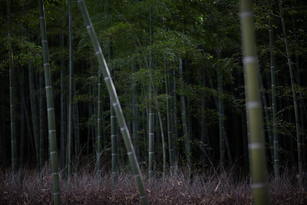 Kyoto Fushimi Ohana Muko Buitenkant foto