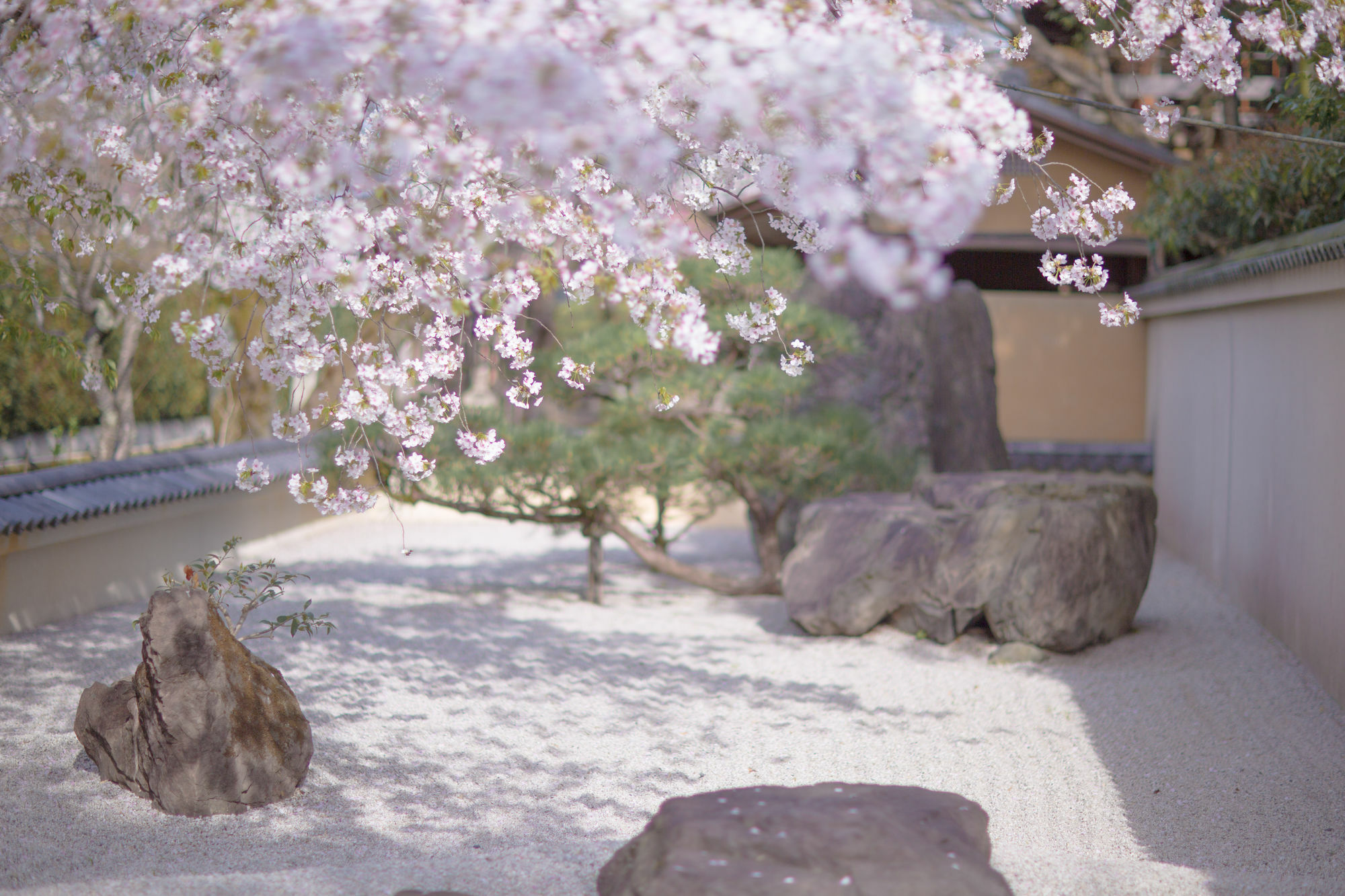 Kyoto Fushimi Ohana Muko Buitenkant foto